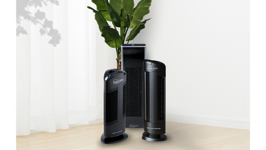 Improves Indoor Air Quality